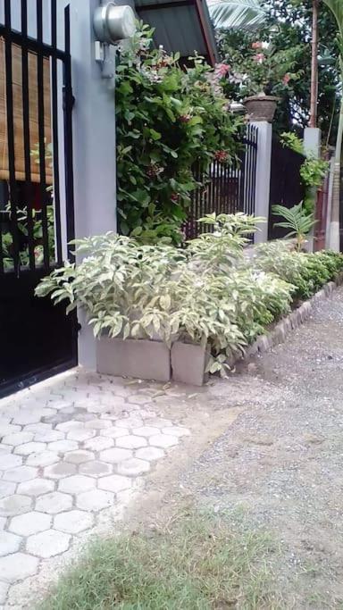 A Unique And Cozy Wholehouse In Babak Samal Island Villa Luaran gambar